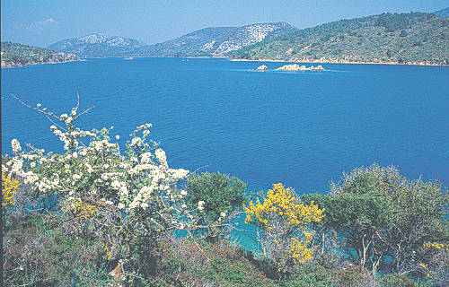 The Gulf of Gera near Mytilene.
